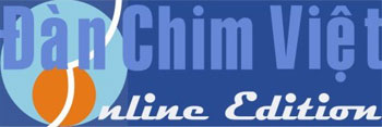 DANCHIMVIET ONLINE